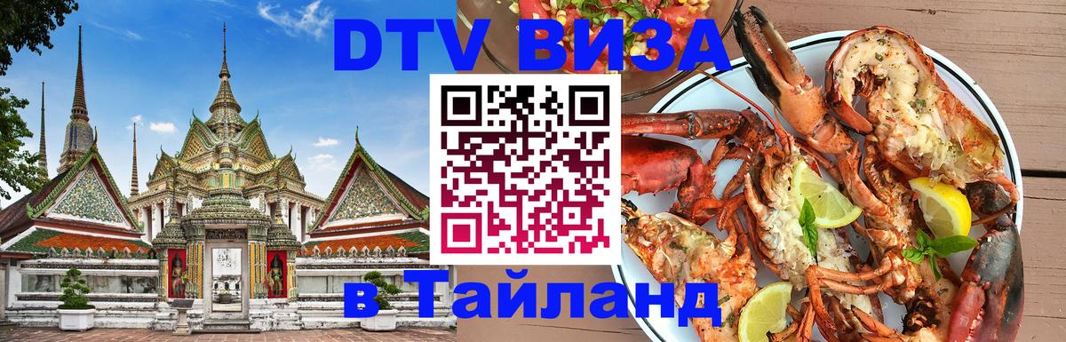 Оформление DTV визы под ключ: стоимость и тарифы, только загранпаспорт - Киев  03.10.2025 